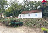 Hausbrunn MIETE - Generalsaniertes Einfamilienhaus mit Garten und Terrasse in absoluter Grünruhelage