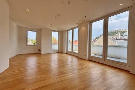 moderne Ordinationsräume mit Blick am Schlossberg | großzügige Außenflächen, Gewerbeobjekt-miete, 1.857,72,€, 2410 Bruck an der Leitha