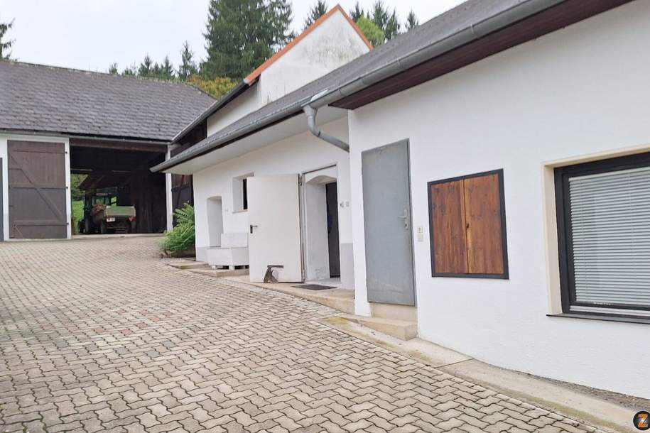 Haus mit viel Grund in der burgenländischen Weinidylle, Haus-kauf, 210.000,€, 7473 Oberwart