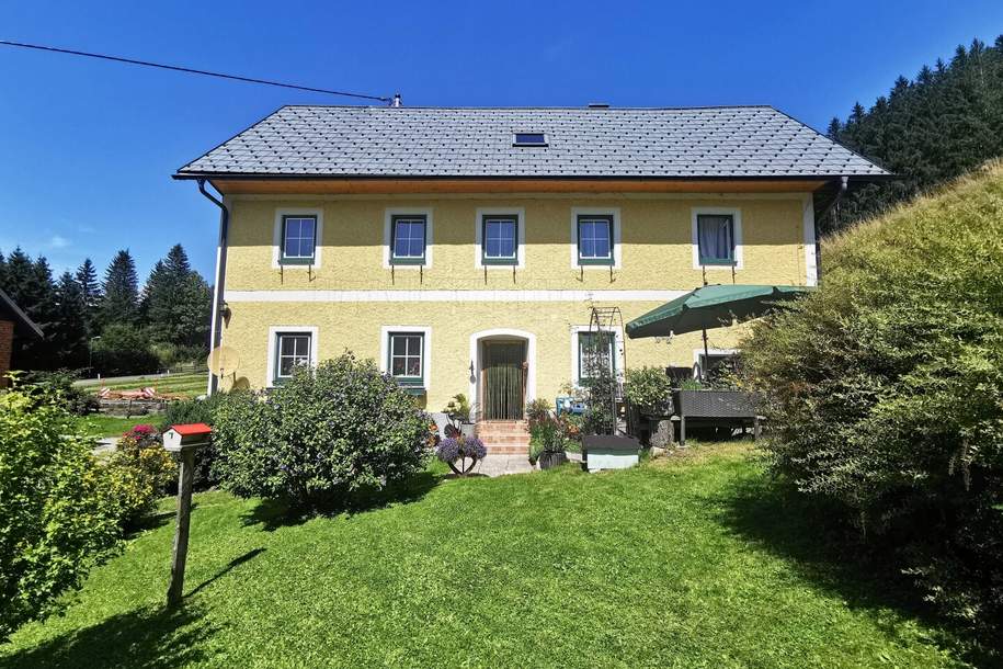 Bauernhaus mit Stallgebäude, umliegenden Wiesenflächen und Wald, Haus-kauf, 369.000,€, 8621 Bruck-Mürzzuschlag