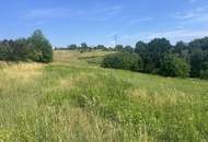 Weitläufiges Grundstück (über 8.500 m²) - Bauland mit großzügiger Grünlandfläche in Olbendorf!