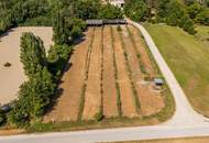 "Großzügiges Grundstück mit Pferdehof und sanierungsbedürftigem Haus – nur Minuten von Wien entfernt"