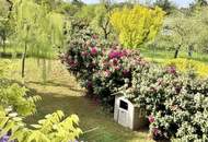 360 TOUR // GARTENWOHUNG AM WILHELMBERG