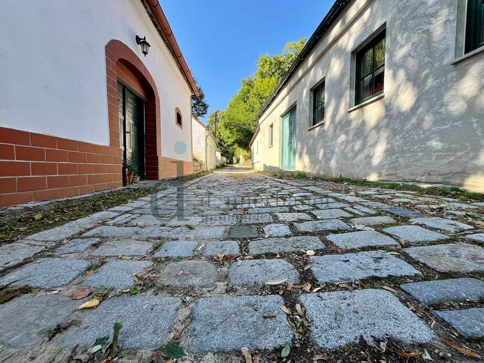 Verkostungsraum oder Heurigen?? Hier in der Kellergasse können Träume wahr werden!!