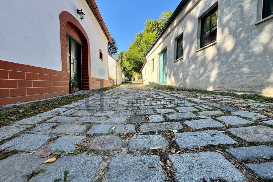 Verkostungsraum oder Heurigen?? Hier in der Kellergasse können Träume wahr werden!!, Haus-kauf, 199.000,€, 3710 Hollabrunn