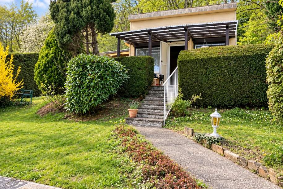 RARITÄT MIT POTENZIAL – Eingewachsenes Grundstück mit Altbestand und Pool | ZELLMANN IMMOBILIEN, Haus-kauf, 100.000,€, 3420 Tulln