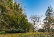 Unverbaubaure Sonnenhanglage: Erwecken Sie diese 60er-Jahre Villa zu neuem Leben