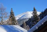 Rendite trifft Lifestyle - CHALET LITTLE BADGER - eins mit der Natur, Luxus inklusive