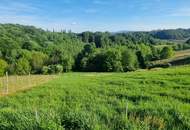 IN SLOWENIEN - ehemaliges Kellerstöckl in der bekannten Weinregion JERUZALEM - Toskanafeeling pur!