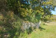 7000 Eisenstadt sehr schönes 60m2 Terrassen Apartment Top möbliert mit Seeblick in herrlicher Waldrand Ruhelage! (Provisionsfrei)