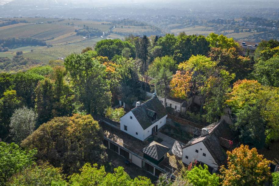 Liebe zur Nostalgie: Historische Villa am Kahlenberg mit Blick über Wien, Haus-kauf, 9.800.000,€, 1190 Wien 19., Döbling