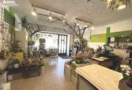 2 Zimmer-Wohnung und ein Geschäfslokal in St. Aegyd am Neuwalde