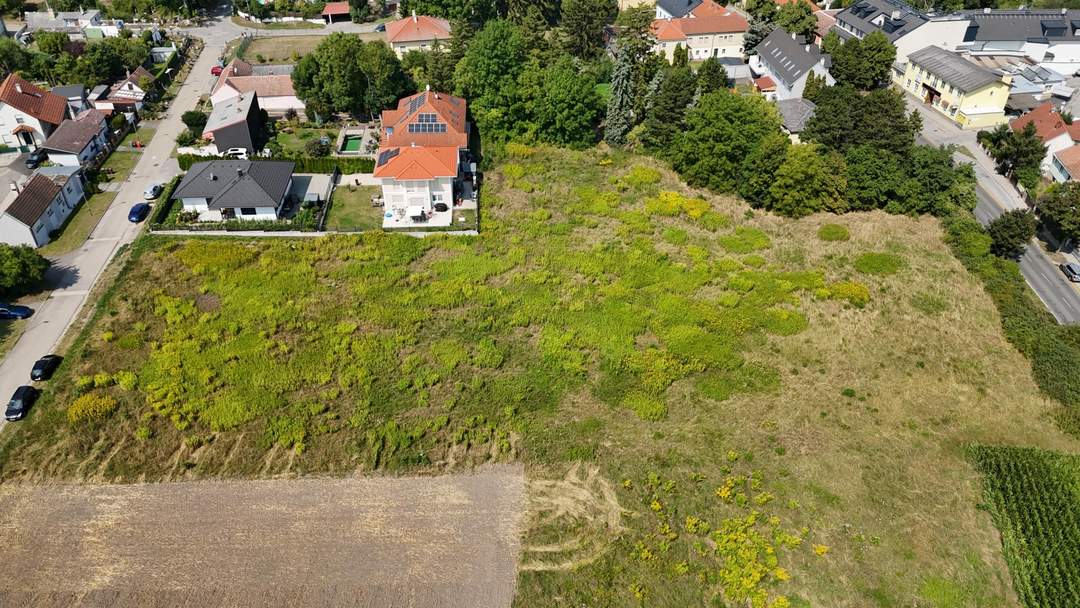 "8 Exklusive Baugründe in begehrter Bisamberg-Region"