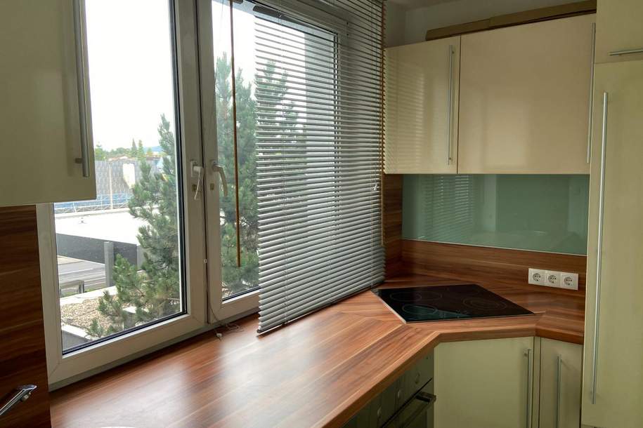 Schöne 1-Zimmer Wohnung in Ruhelage, Wohnung-miete, 550,00,€, 4020 Linz(Stadt)