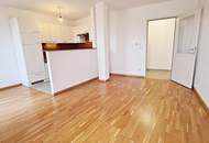 FERNBLICK, TERRASSENHIT, 61 m2 Dachgeschoß mit 48 m2 Terrasse, Wohnküche, 1 Zimmer, Wannenbad, Parketten, Holbeingasse