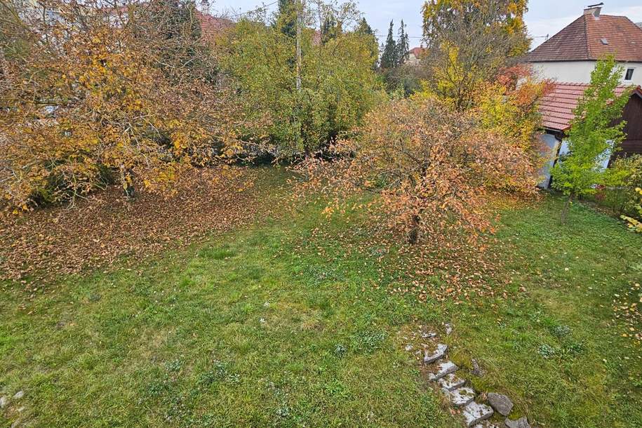 Baugrund als Anlage OHNE Bauzwang, Grund und Boden-kauf, 239.000,€, 4470 Linz-Land