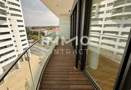 Luxurious apartment in a perfect location by the New Danube!