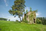 Zum Verkauf steht ein zusammenhängendes Landwirtschafts- und Waldgrundstück mit Holzhaus