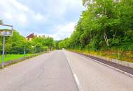 "Ihr neues Familienglück im Grünen wartet"