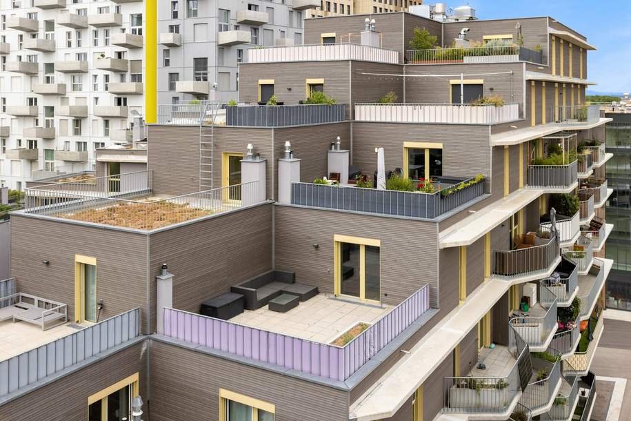Terrassentraum -Wohnen mit Stil - exzellente Ausstattung, Wohnung-kauf, 279.000,€, 1220 Wien 22., Donaustadt