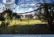 Garten-Oase in der Sackgasse, hier beginnt Ihr Glück!