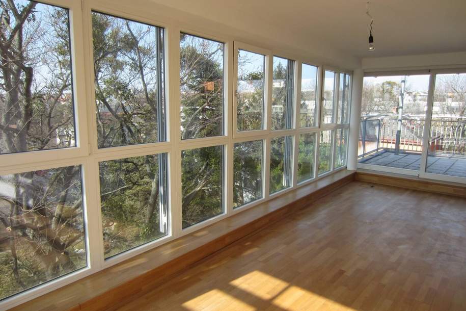 Freifläche auf zwei Terrassen mit Schönbrunnblick und Blick auf Steinhofkirche: neu sanierte und klimatisierte 2-Zimmer-Wohnung!, Wohnung-miete, 1.550,00,€, 1140 Wien 14., Penzing