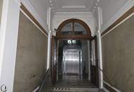 Purer Luxus in der Bellariastraße!