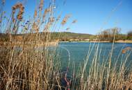 charmante 2 Zi Dachgeschoßwohnung mit Freifläche in ruhiger Lage_PROVISIONSFREI! Wolsteingasse 51_Stg. 1 / T10