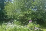 Natur pur , tolles Haus
