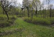 Naturjuwel im Südburgenland