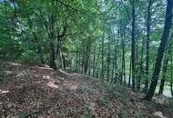 Idyllisches Grundstück am Ende einer Sackgasse – sonniger Bauplatz mit eigenem Wald