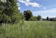 Bauträger aufgepasst - acht Grundstücke nebeneinander - seltene Gelegenheit in Neusiedl am See