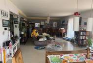 Ihr Rückzugsort im Grünen, Einfamilienhaus mit großem Garten in Wien-Nähe