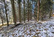 "Rarität im Zirbenland" Grundstück in St. Anna am Lavantegg