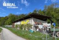 Waldflächen mit Betriebshalle und Reitplatz
