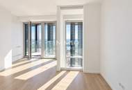 Penthouse AT THE TOP OF VIENNA. 51st Floor Above the DANUBE