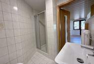 Traumhafte 2-Zimmer-Gartenwohnung im Herzen des Ennstals