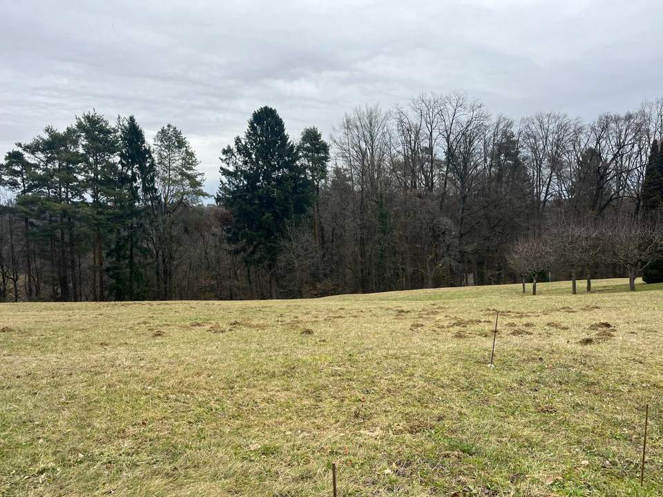 Baugrundstück in absoluter Ruhelage