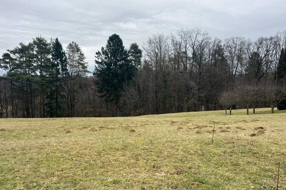 Baugrundstück in absoluter Ruhelage, Grund und Boden-kauf, 109.000,€, 8302 Graz-Umgebung