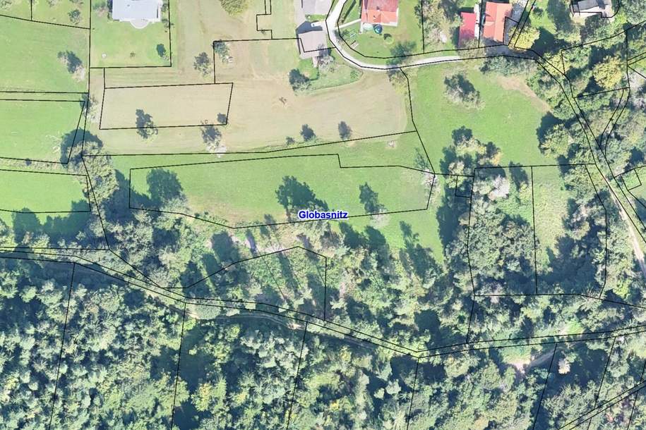 Landiwrtschaftliche Flächen in Jaunstein/Globasnitz - 1,7 ha Wiese, Weide, Wald, Grund und Boden-kauf, 255.180,€, 9142 Völkermarkt
