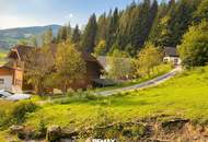 Baugrundstück mit Bergblick in Weißenbach bei Haus