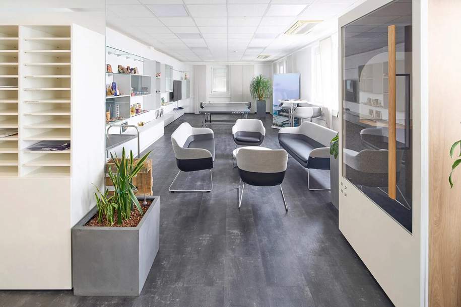 Vielseitige Gewerbeflächen mit modernisiertem Büro, Gewerbeobjekt-miete, 1.186,50,€, 2351 Mödling