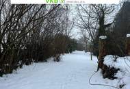 Naturnah & ruhig: Grundstück mit Altbestand in Spattendorf - Gemeinde Alberndorf in der Riedmark (GST 2438/1)