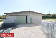 Außenlagerfläche mit Garage im Ennshafen!