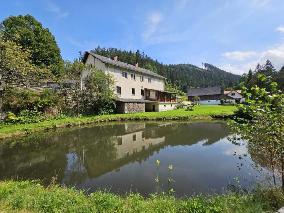 Interessante und ganz und gar nicht alltägliche Liegenschaft mit viel Flair! Wohn/Gasthaus mit Fischteichen und Nebengebäuden