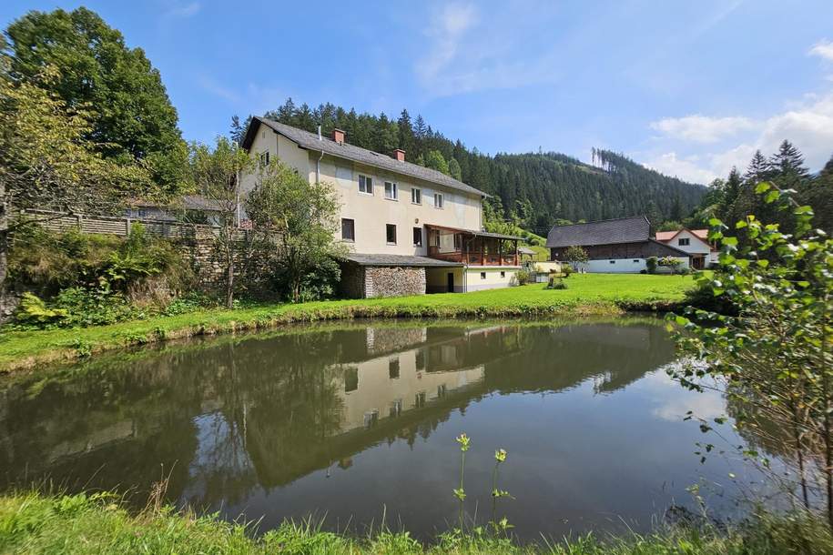 Interessante und ganz und gar nicht alltägliche Liegenschaft mit viel Flair! Wohn/Gasthaus mit Fischteichen und Nebengebäuden, Haus-kauf, 289.000,€, 8741 Murtal