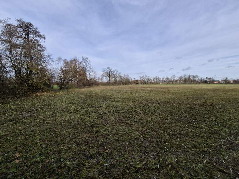 Ebenerdiges Ackerland mit Brache