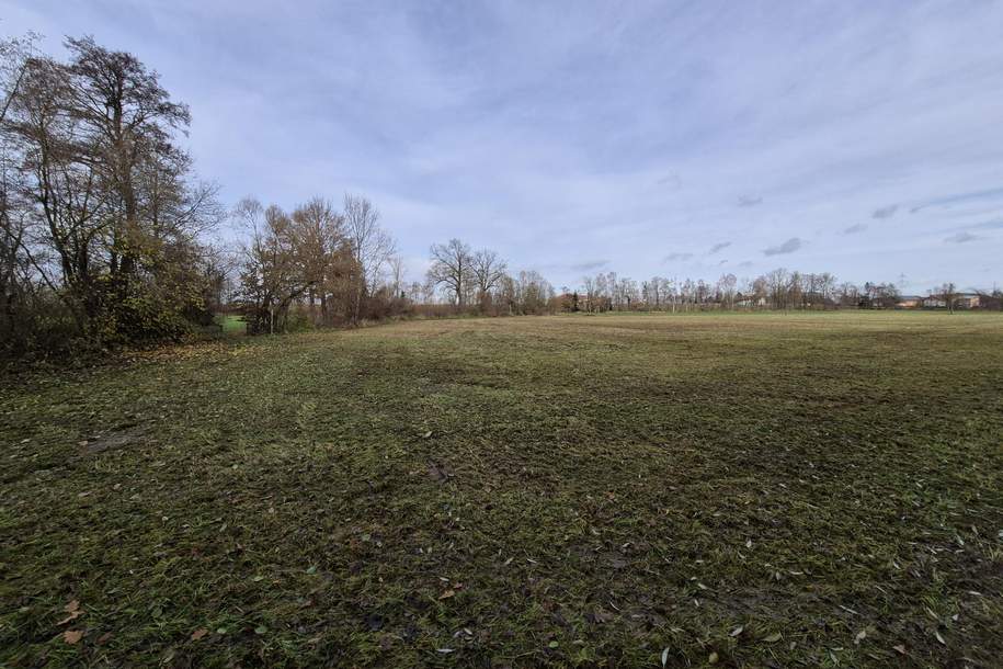 Ebenerdiges Ackerland mit Brache, Grund und Boden-kauf, 120.000,€, 4950 Braunau am Inn