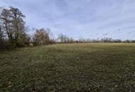 Ebenerdiges Ackerland mit Brache