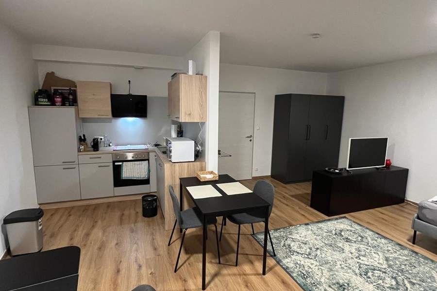 Renovierte großzügige Garconniere in Spittal mit neuer Einbauküche, Wohnung-miete, 730,00,€, 9800 Spittal an der Drau